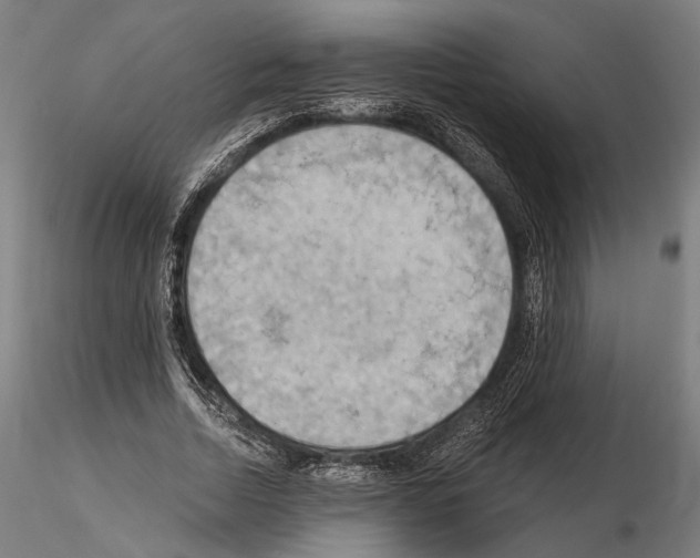 X0000114630730200912011024