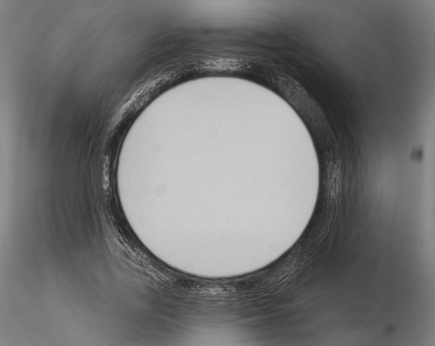 X0000114630731200912011024