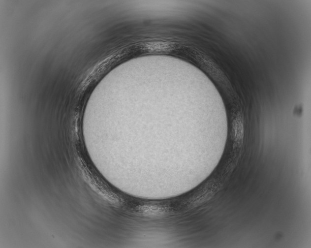 X0000114630733200912011024