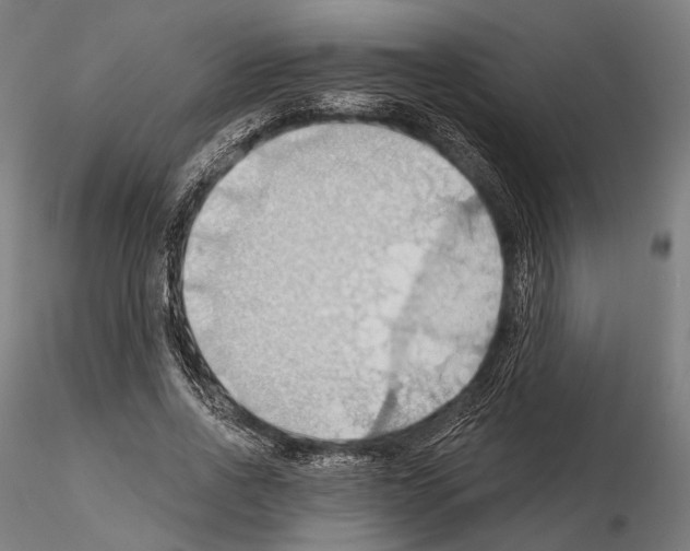 X0000114630734200912011024