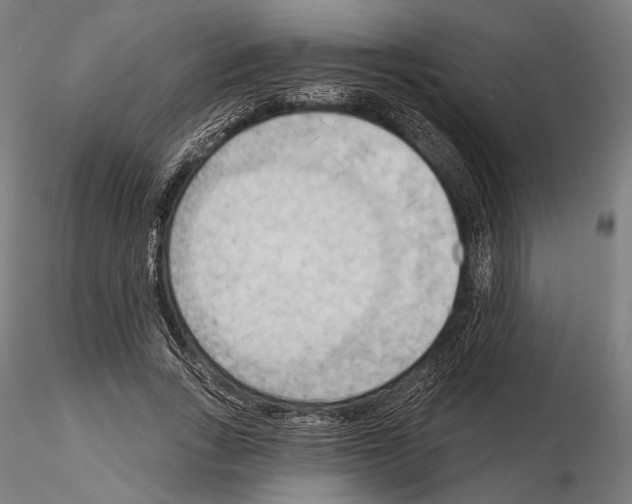 X0000114630735200912011024