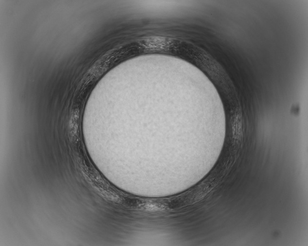 X0000114630737200912011024