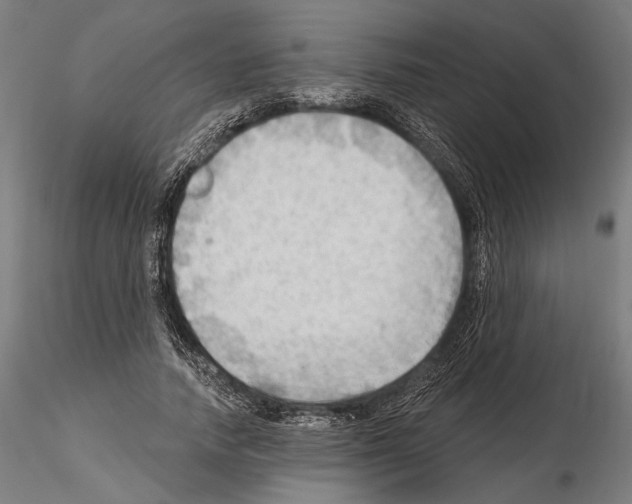 X0000114630738200912011024