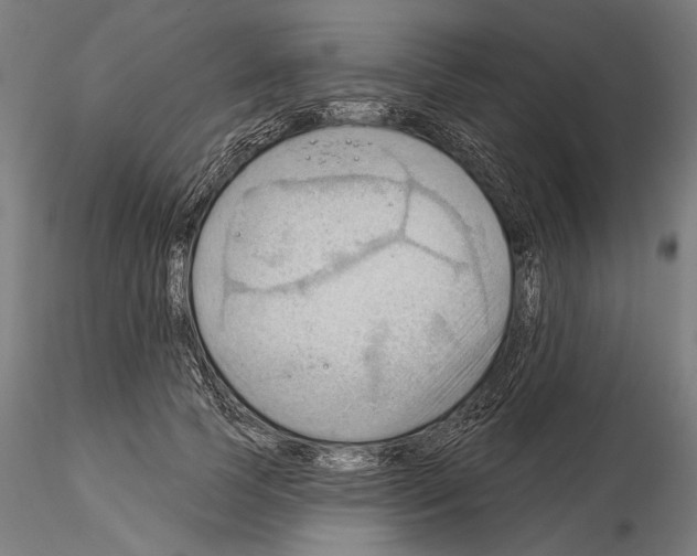 X0000114630745200912011024