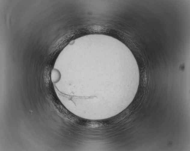 X0000114630746200912011024