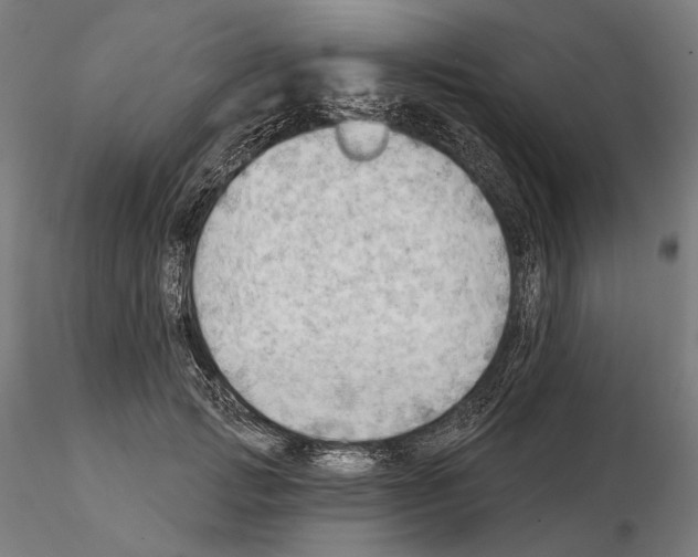 X0000114630749200912011024