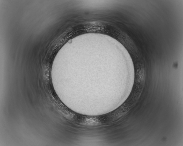 X0000114630753200912011024