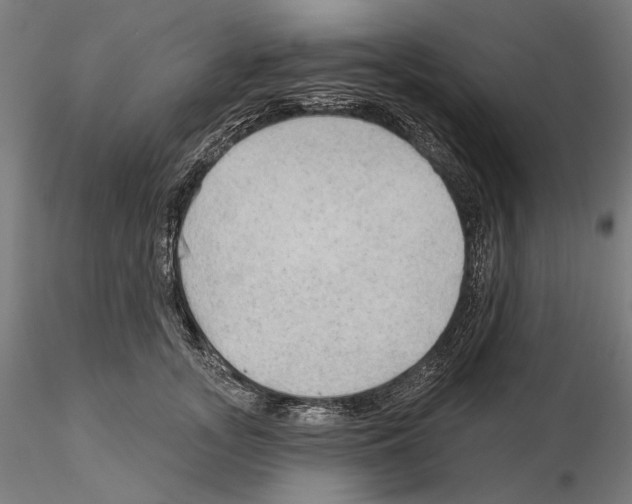 X0000114630755200912011024