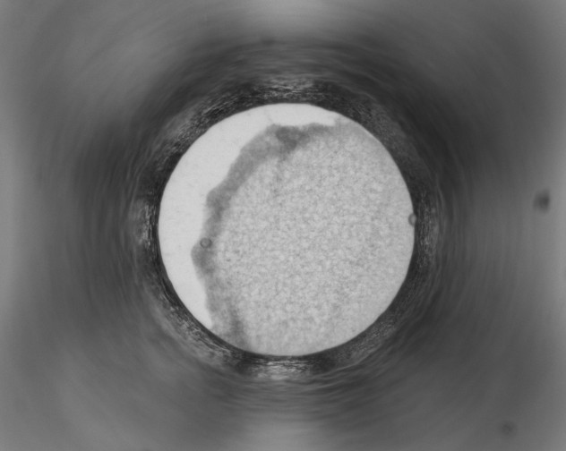 X0000114630758200912011025