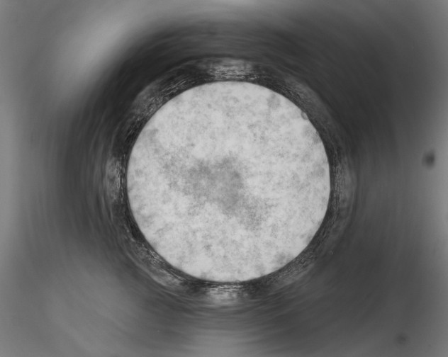 X0000114630761200912011025