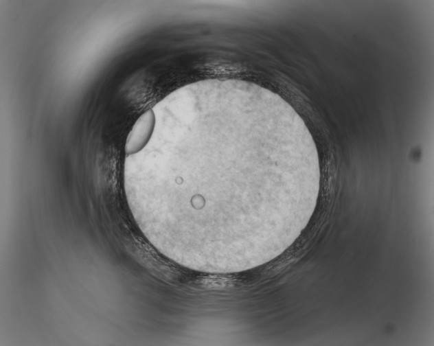 X0000114630762200912011025