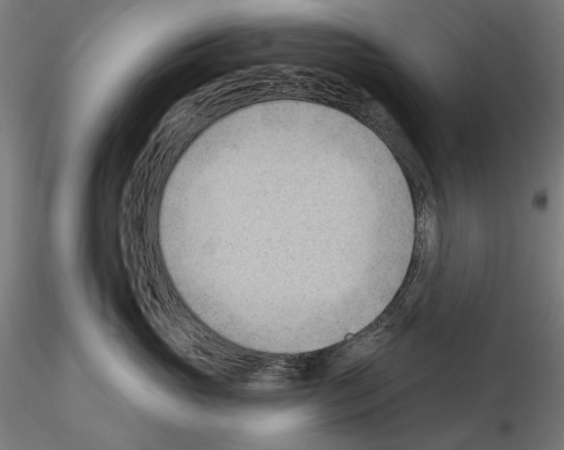 X0000114630765200912011025