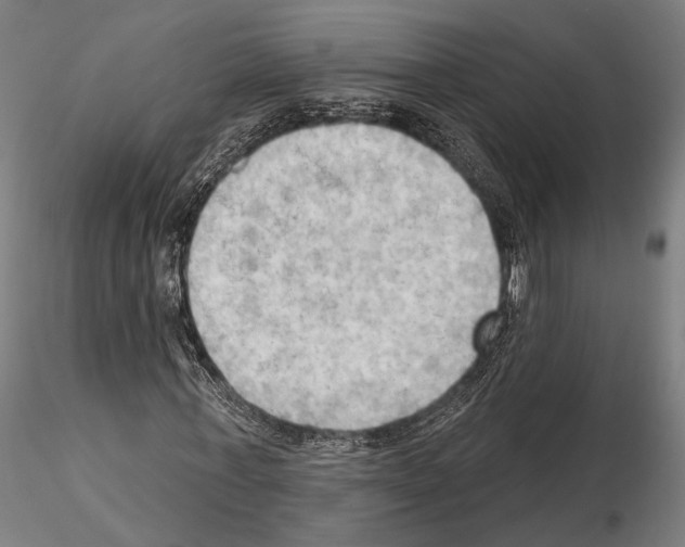 X0000114630771200912011024