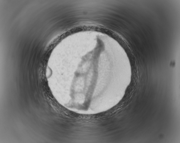 X0000114630775200912011024