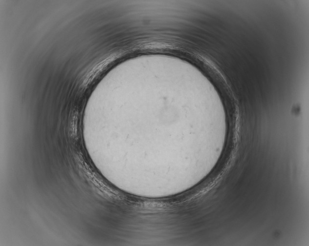 X0000114630777200912011024