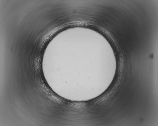 X0000114630778200912011024