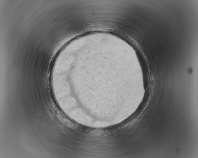 X0000114630779200912011024