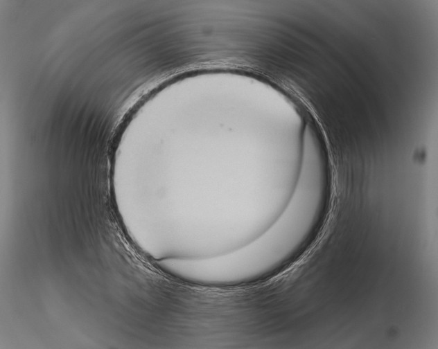 X0000114630781200912011024