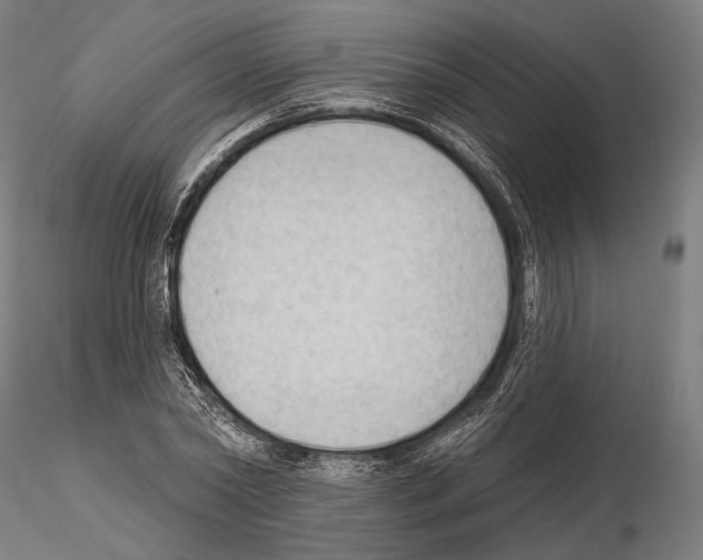 X0000114630782200912011024