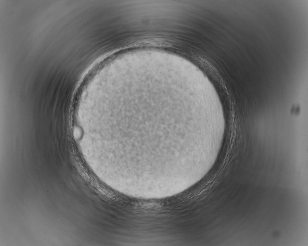 X0000114630784200912011024