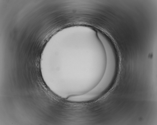 X0000114630785200912011024