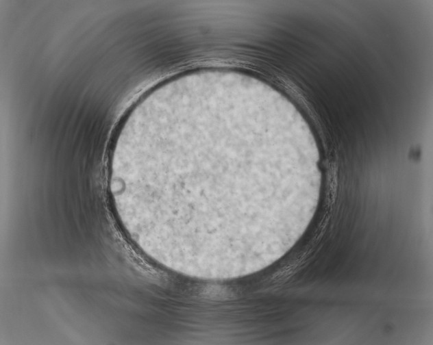 X0000114630787200912011024