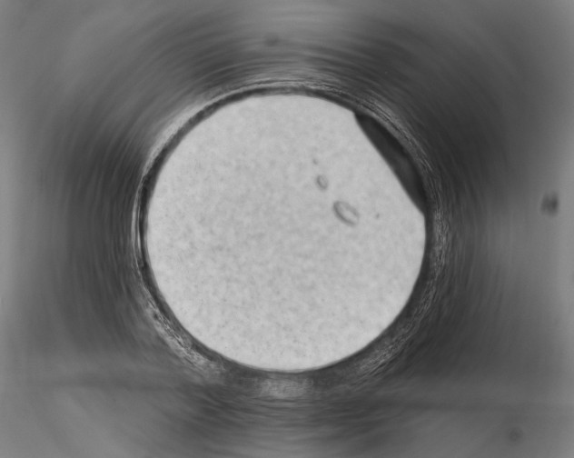 X0000114630788200912011024