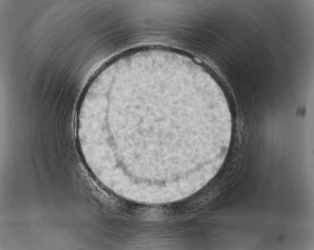 X0000114630791200912011024