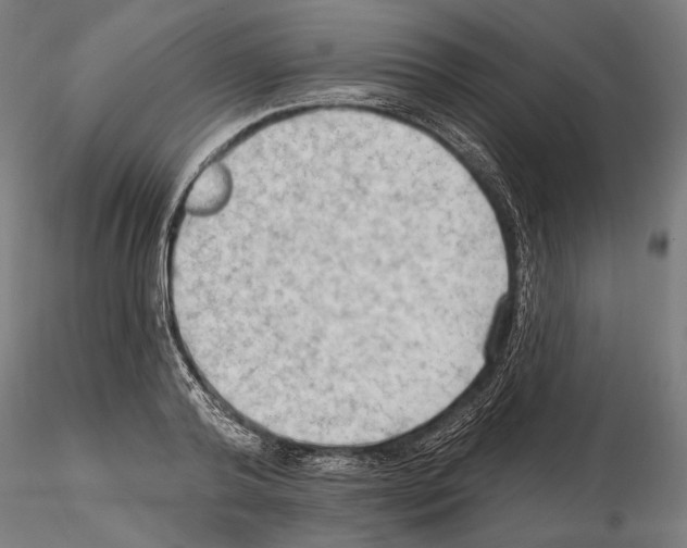 X0000114630792200912011024