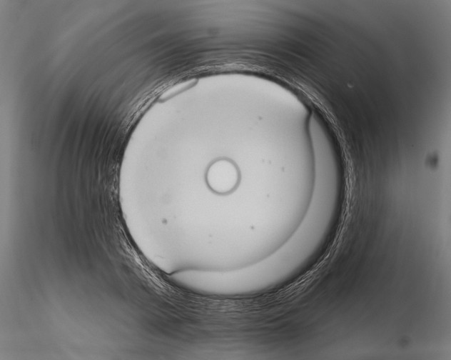 X0000114630793200912011024