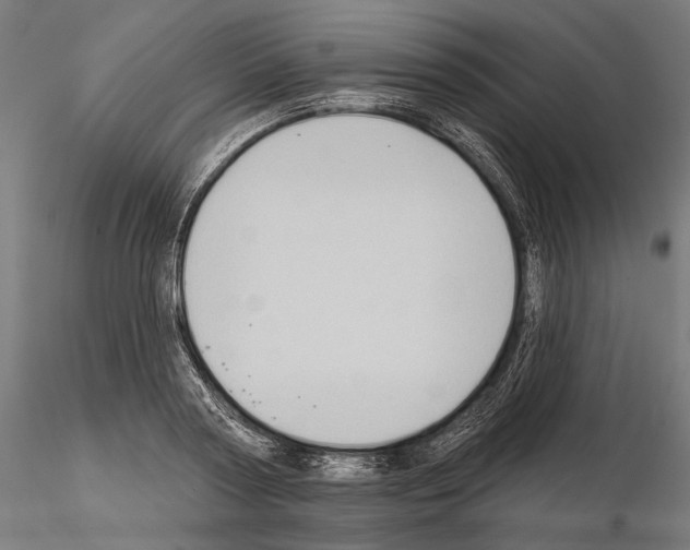 X0000114630794200912011024