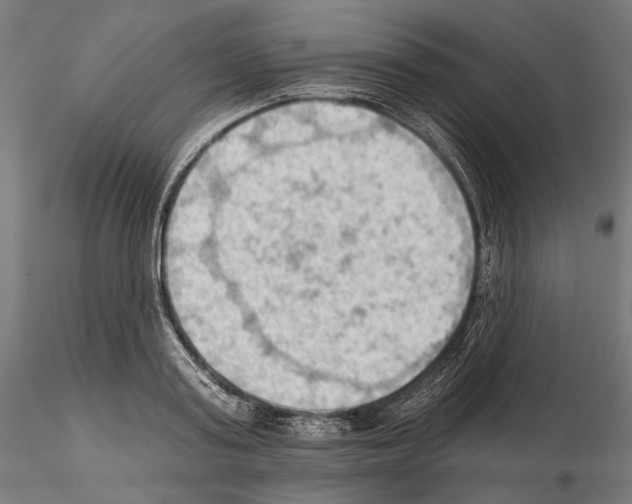 X0000114630795200912011024