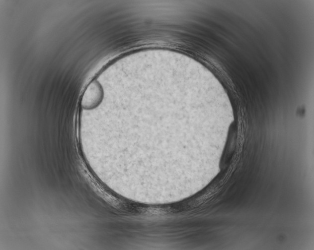 X0000114630796200912011024