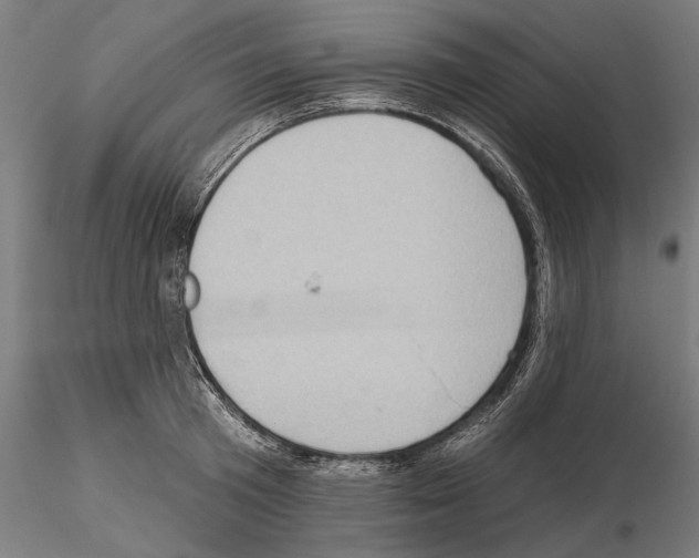 X0000114630801200912011024