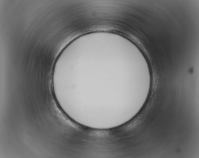 X0000114630802200912011024