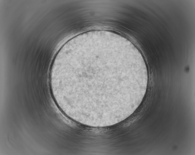 X0000114630803200912011023