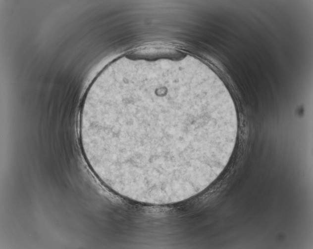 X0000114630804200912011023