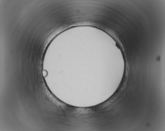 X0000114630805200912011023