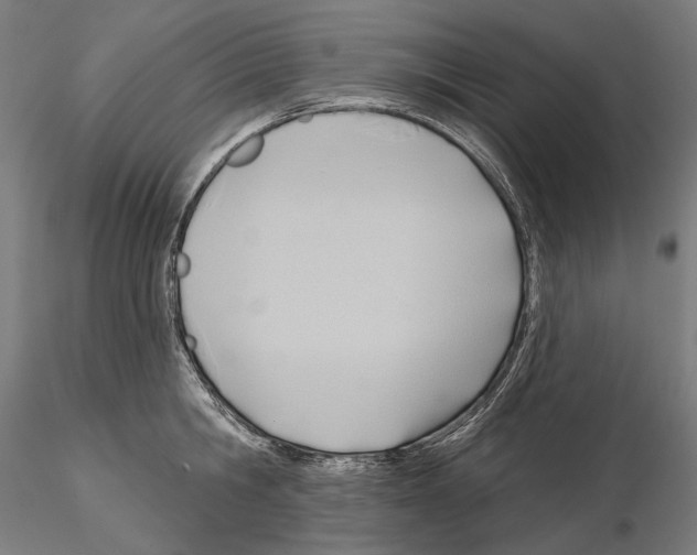 X0000114630806200912011023