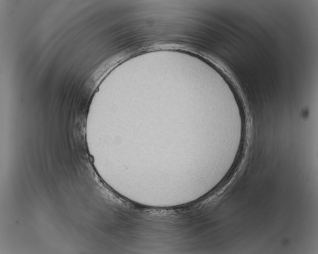 X0000114630809200912011023