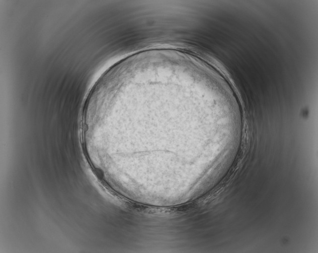 X0000114630811200912011023