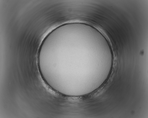 X0000114630813200912011023