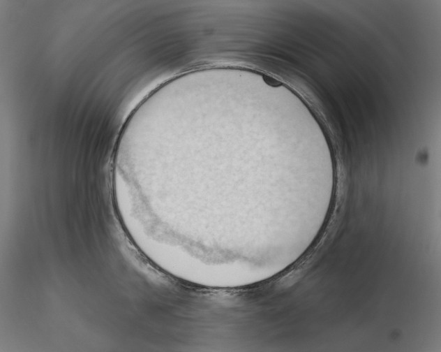 X0000114630814200912011023