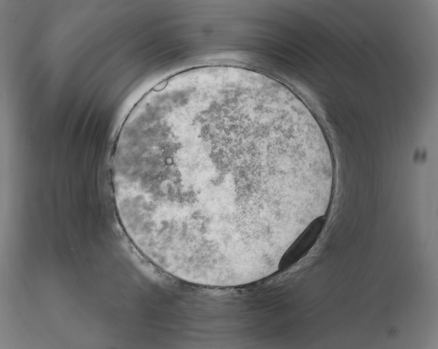 X0000114630816200912011023