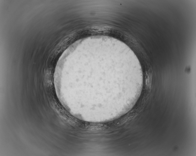 X0000114630819200912011023