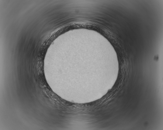 X0000114630822200912011023