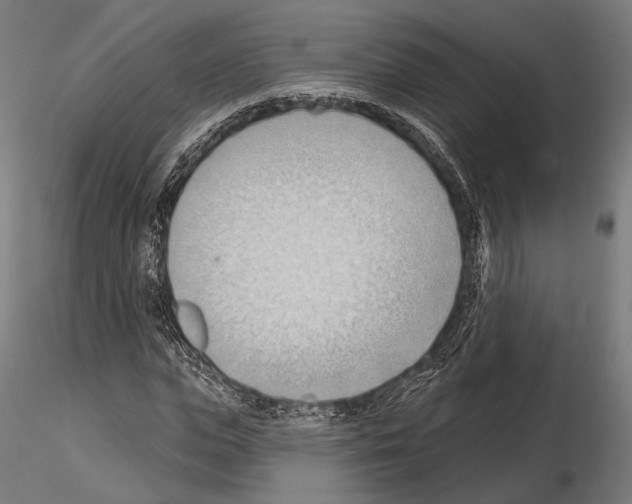 X0000114630823200912011023