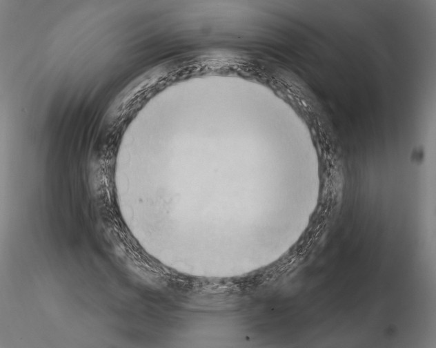 X0000114630824200912011023