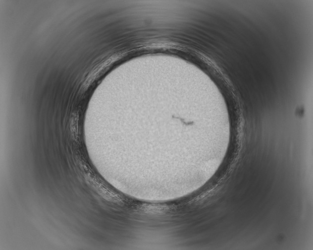 X0000114630825200912011023