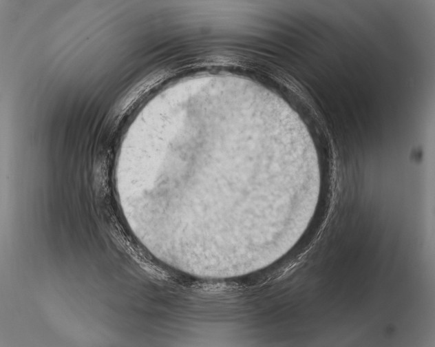 X0000114630826200912011023